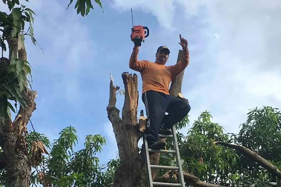 Professional Landscaper in Cutler Bay, FL Professional Landscaper in Cutler Bay, FL